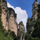 张家界国家森林公园 - 张家界市旅游 缩略图 6
