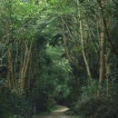 上围艺术村 - 深圳市旅游 缩略图 3