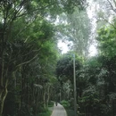 上围艺术村 - 深圳市旅游 缩略图 1
