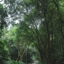 上围艺术村 - 深圳市旅游 缩略图 2