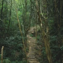 上围艺术村 - 深圳市旅游 缩略图 6