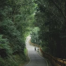 上围艺术村 - 深圳市旅游 缩略图 7