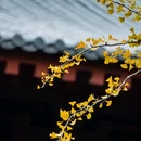 四季逸境酒店(金华高铁站银泰城店) - 金华市旅游 缩略图 3