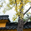 四季逸境酒店(金华高铁站银泰城店) - 金华市旅游 缩略图 6