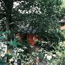 四季逸境酒店(金华高铁站银泰城店) - 金华市旅游 缩略图 5
