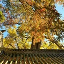 青岛浮山森林公园文翠湖 - 青岛市旅游 缩略图 4