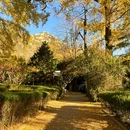 青岛浮山森林公园文翠湖 - 青岛市旅游 缩略图 6
