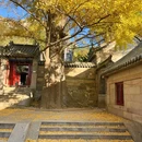 青岛浮山森林公园文翠湖 - 青岛市旅游 缩略图 9