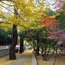 青岛浮山森林公园文翠湖 - 青岛市旅游 缩略图 8