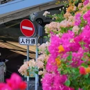 温陵北路与津淮街交叉口 - 泉州市旅游 缩略图 4