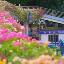 温陵北路与津淮街交叉口 - 泉州市旅游 缩略图 3