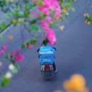 温陵北路与津淮街交叉口 - 泉州市旅游 缩略图 1