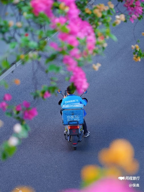 温陵北路与津淮街交叉口 - 泉州市旅游