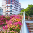温陵北路与津淮街交叉口 - 泉州市旅游 缩略图 8
