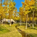 脱野咖啡营地 - 西安市旅游 缩略图 6