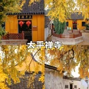 苏州天平山风景名胜区 - 苏州市旅游 缩略图 4