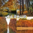 苏州天平山风景名胜区 - 苏州市旅游 缩略图 6