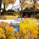 苏州天平山风景名胜区 - 苏州市旅游 缩略图 7