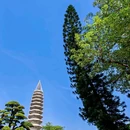 锦江之星品尚酒店厦门北站集美学村店(集美大学店)停车点-出入口 - 厦门市旅游 缩略图 1