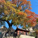 崂山北九水游览区-乘车处 - 青岛市旅游 缩略图 2