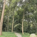 杜甫草堂 - 成都市旅游 缩略图 9