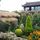 丽江墨竹瓦舍客栈 - 丽江旅游 缩略图 5