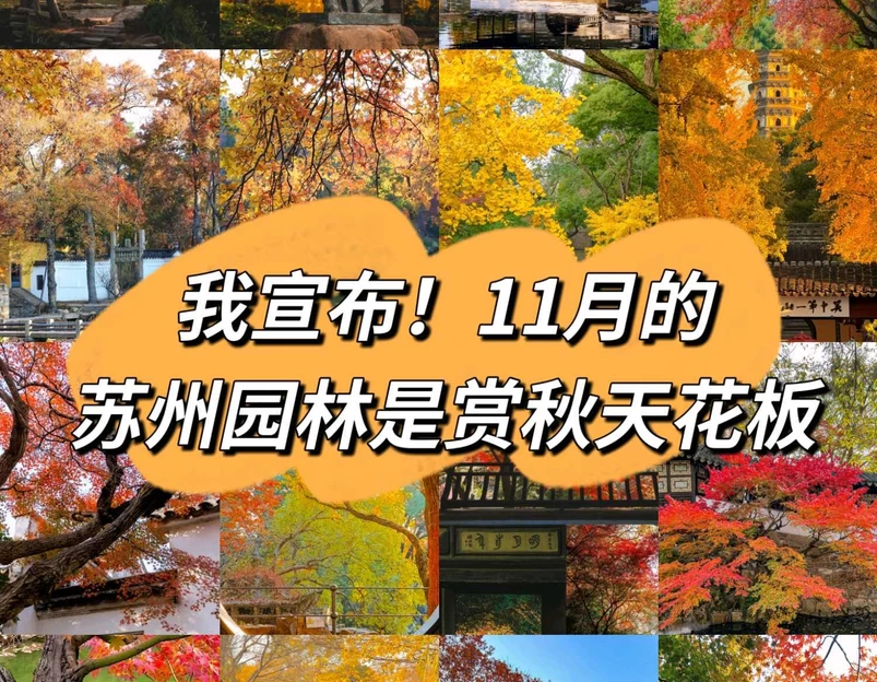 苏州虎丘湿地公园 - 苏州市旅游 1