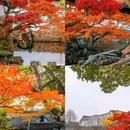 苏州虎丘湿地公园 - 苏州市旅游 缩略图 5