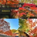 苏州虎丘湿地公园 - 苏州市旅游 缩略图 6