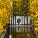 湘湖路博奥南路口[公交站] - 杭州市旅游 缩略图 4