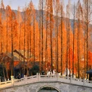 湘湖路博奥南路口[公交站] - 杭州市旅游 缩略图 1