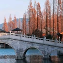 湘湖路博奥南路口[公交站] - 杭州市旅游 缩略图 7