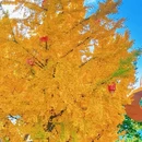 奥林匹克森林公园 - 北京市旅游 缩略图 5