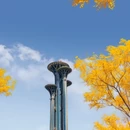 奥林匹克森林公园 - 北京市旅游 缩略图 2