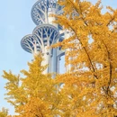 奥林匹克森林公园 - 北京市旅游 缩略图 1