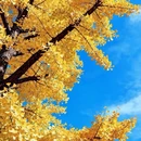奥林匹克森林公园 - 北京市旅游 缩略图 6