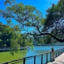 黄婆洞水库 - 广州市旅游 缩略图 2