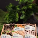 羊城秀艺术商业中心 - 广州旅游 缩略图 8