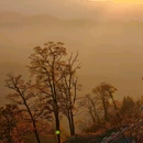 马鬃岭 - 六安市旅游 缩略图 5