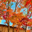 马鬃岭 - 六安市旅游 缩略图 9