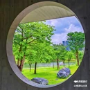 虹桥公园 - 深圳市旅游 缩略图 3