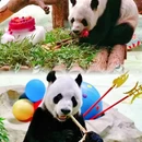紫清湖野生动物世界 - 南京市旅游 缩略图 4