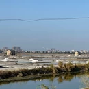 山腰盐场东海工区 - 泉州旅游 缩略图 7