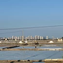 山腰盐场东海工区 - 泉州旅游 缩略图 8