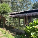 大地茶海 - 保山市旅游 缩略图 7