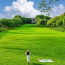 大沙河公园 - 深圳市旅游 缩略图 1