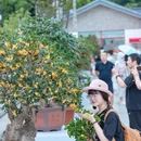 苏州市桂花公园 - 苏州市旅游 缩略图 3