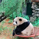 安吉竹博园 - 湖州市旅游 缩略图 2
