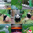 安吉竹博园 - 湖州市旅游 缩略图 1