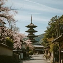 东伊豆町 - 日本旅游 缩略图 8